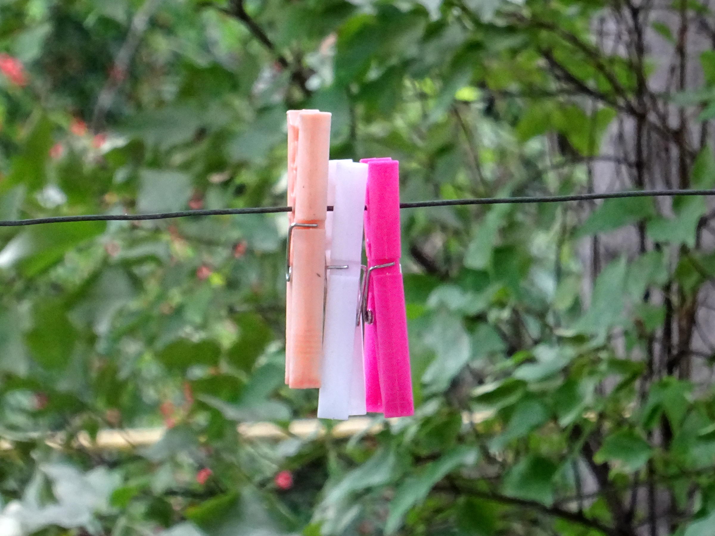 屋外の物干しひもにはさんだ3個のプラスチック製洗濯ばさみ。